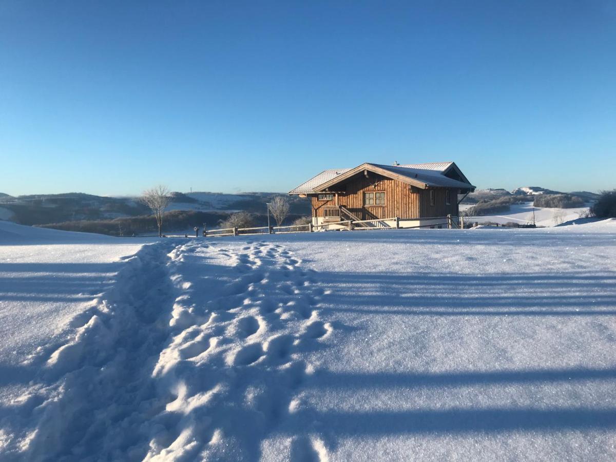 Chalet Bergliebe Brilon Esterno foto
